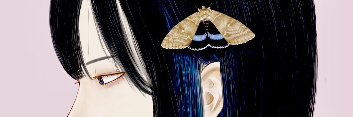 nulaedo's profile banner image