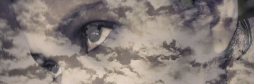 LynnJohnson8's profile banner image