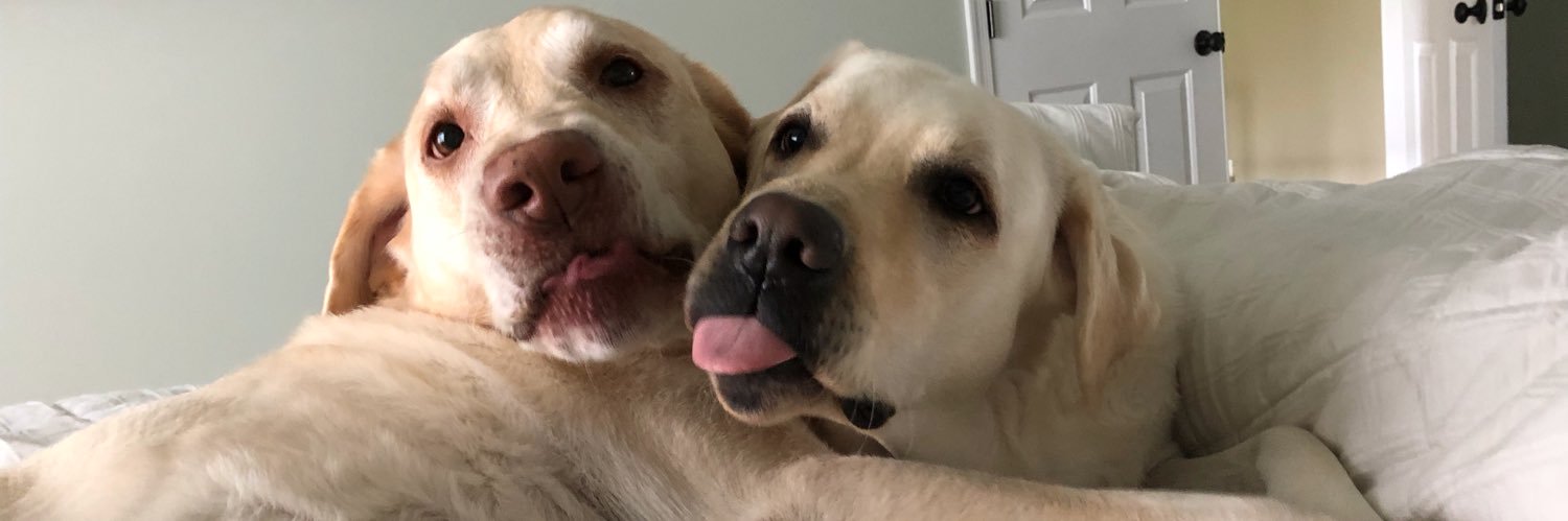 dreck44's profile banner image