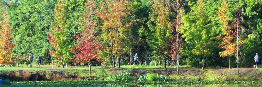 Torrin Theron banner