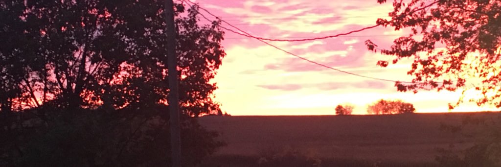 Becca_Fritz's profile banner image