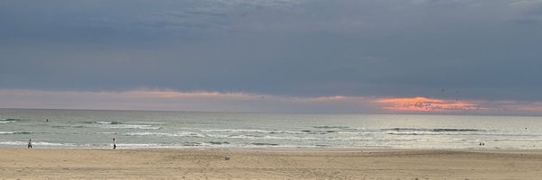 hardwick_damien Profile Banner