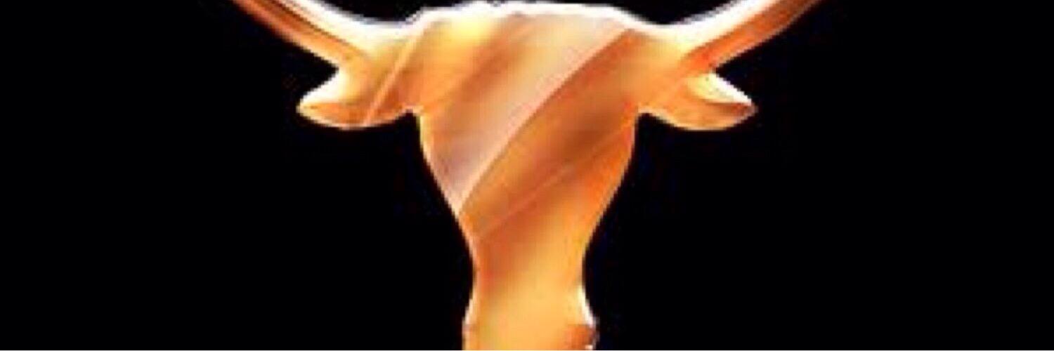 AustinShannon19's profile banner image