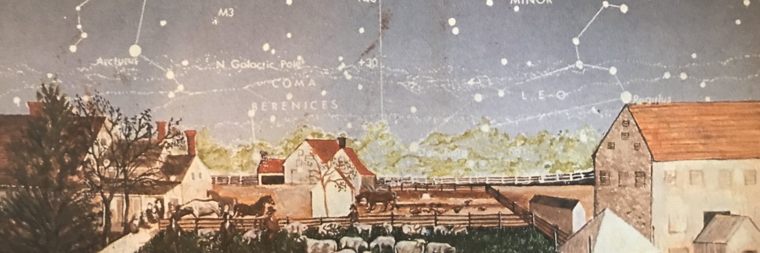 HappyFlaneur's profile banner image