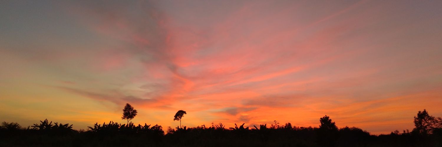 errpop's profile banner image