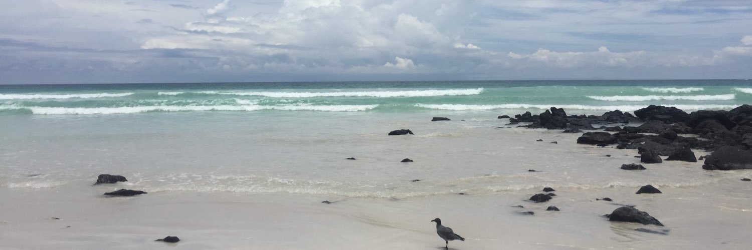 Ivan Rodriguez Litardo banner