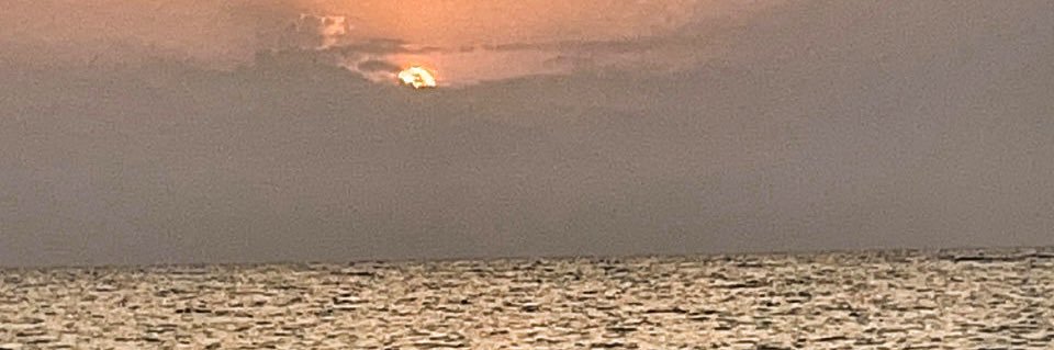 7elm1D's profile banner image