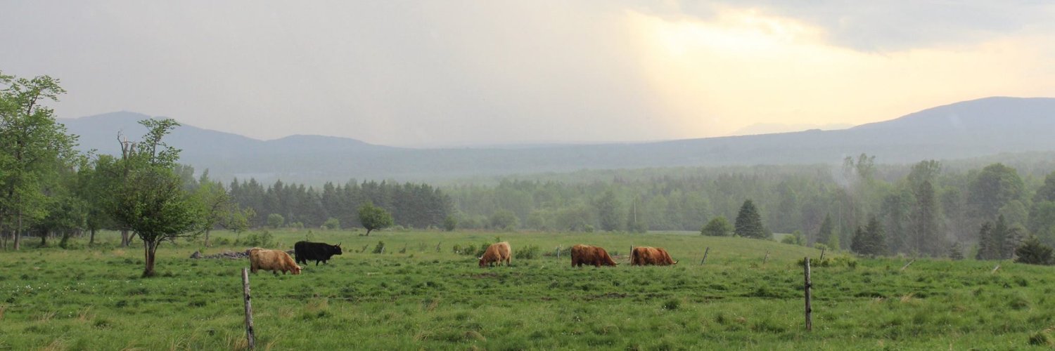 shebert58's profile banner image