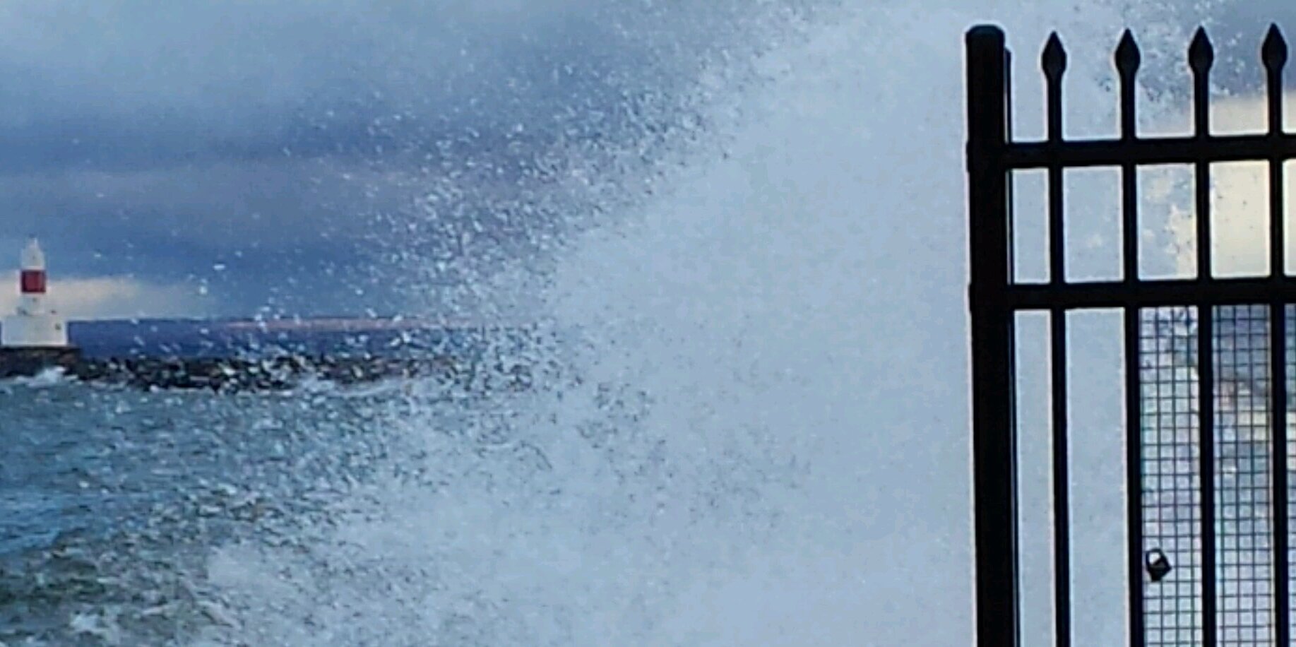dbrancheau's profile banner image