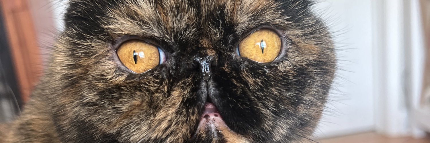 TrinityRidley's profile banner image