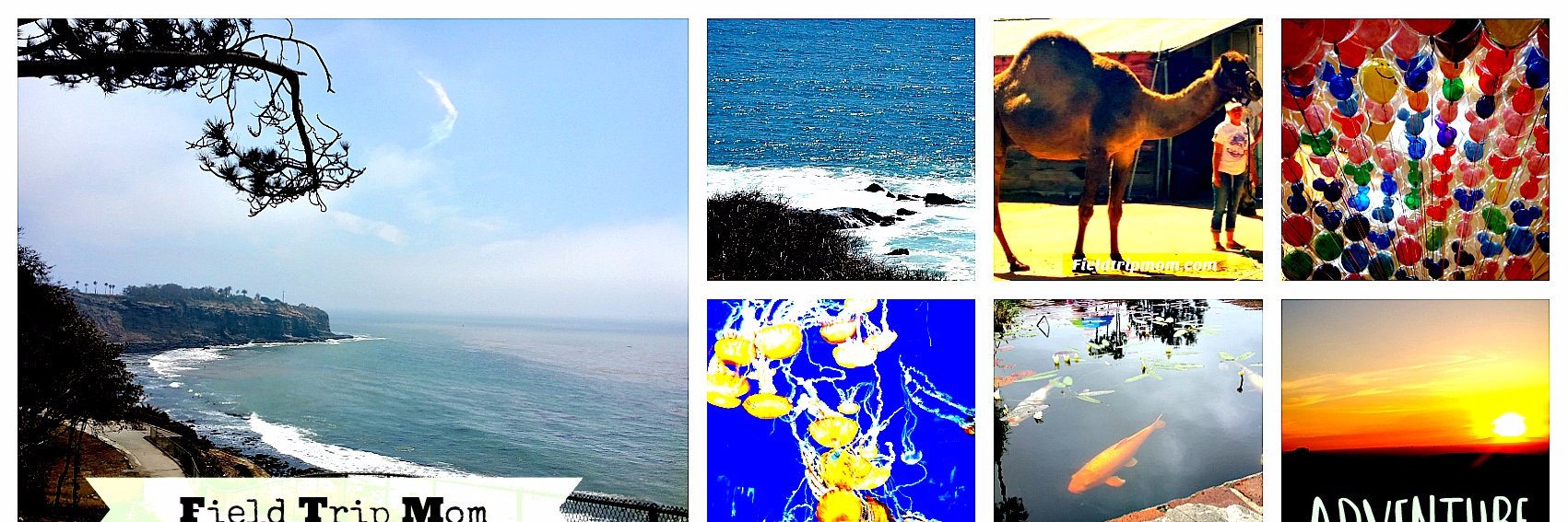 FieldTripMom's profile banner image