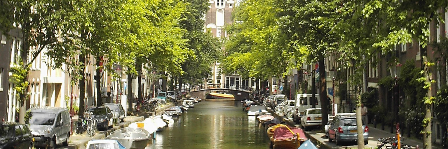 Dr. Andrea C. Mosterman banner