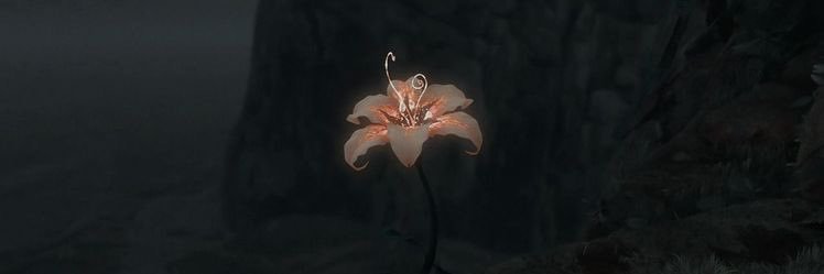 ushouqi's profile banner image