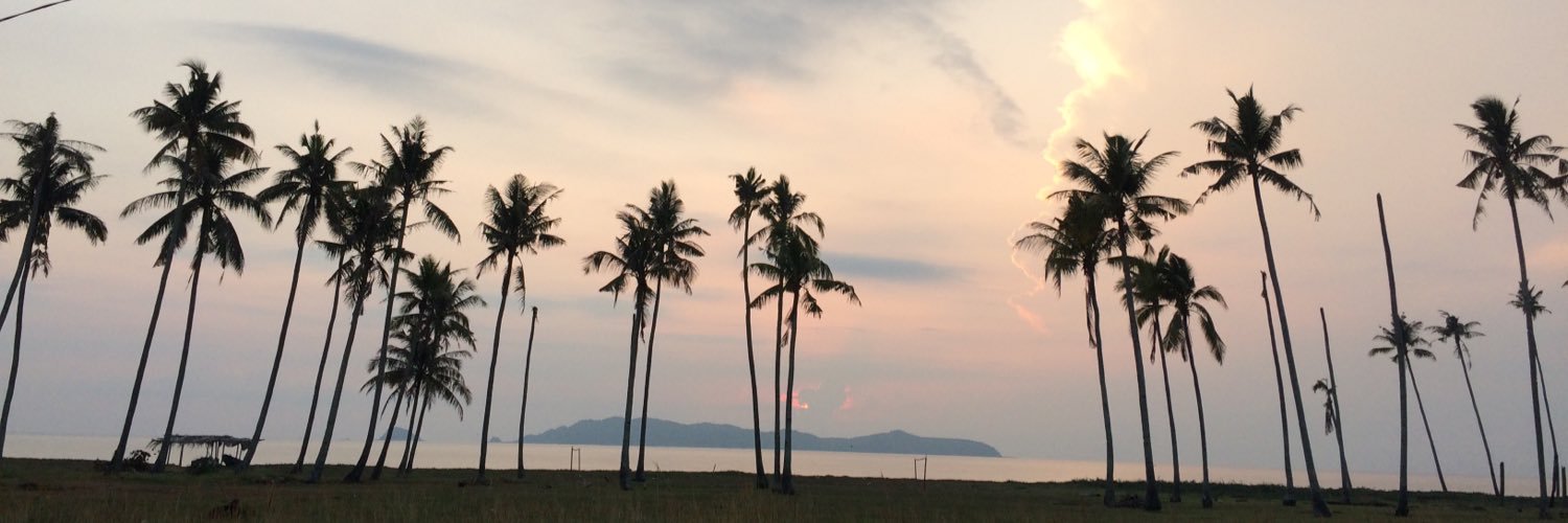 NuaAzuar's profile banner image