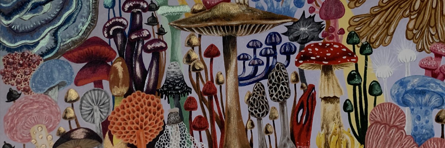 catoctopus's profile banner image