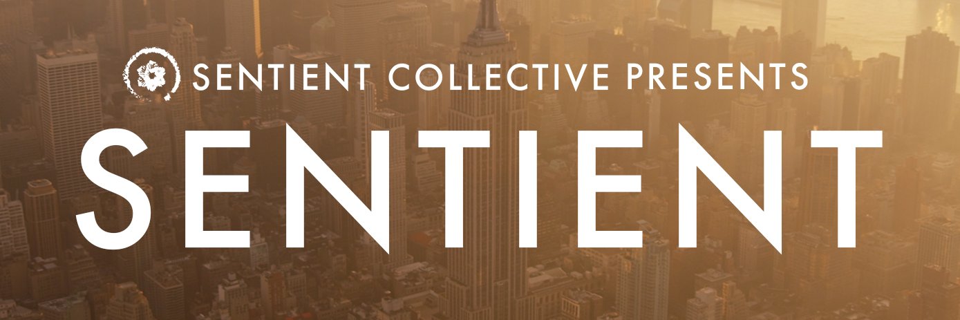 SentientCollect's profile banner image