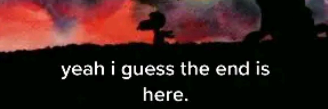 What it look like banner