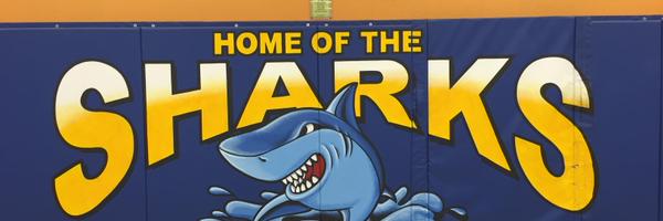 StStephDPCDSB Profile Banner