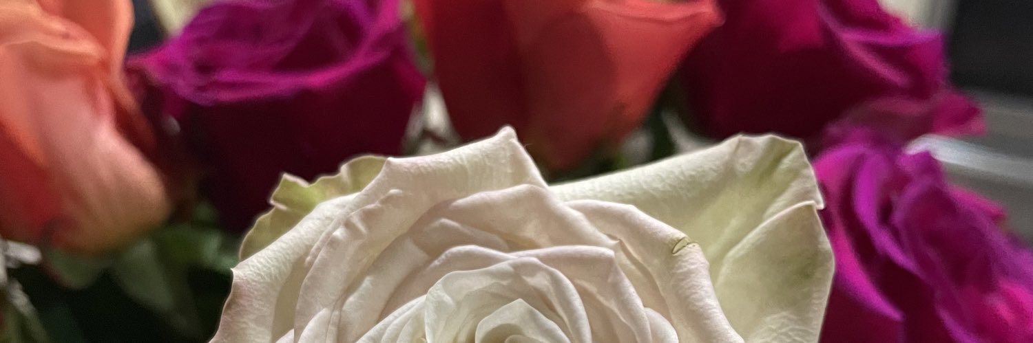TReese94's profile banner image