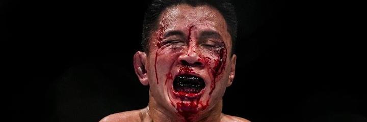 MoreFights's profile banner image