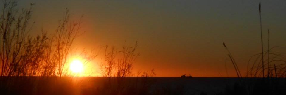 danielacastro37's profile banner image