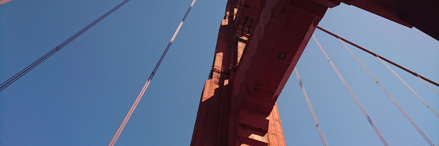 Daniela Morais banner