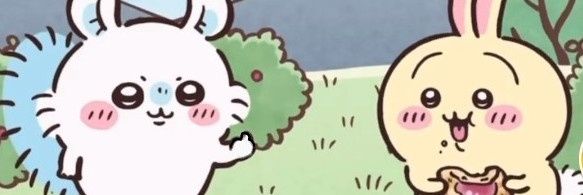 Zimomo banner
