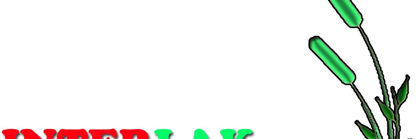 Interlak_ke's profile banner image