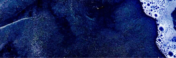 taylorlayne6's profile banner image