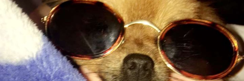 NannyLou10's profile banner image