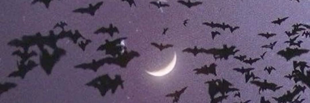 cryshernandezz's profile banner image
