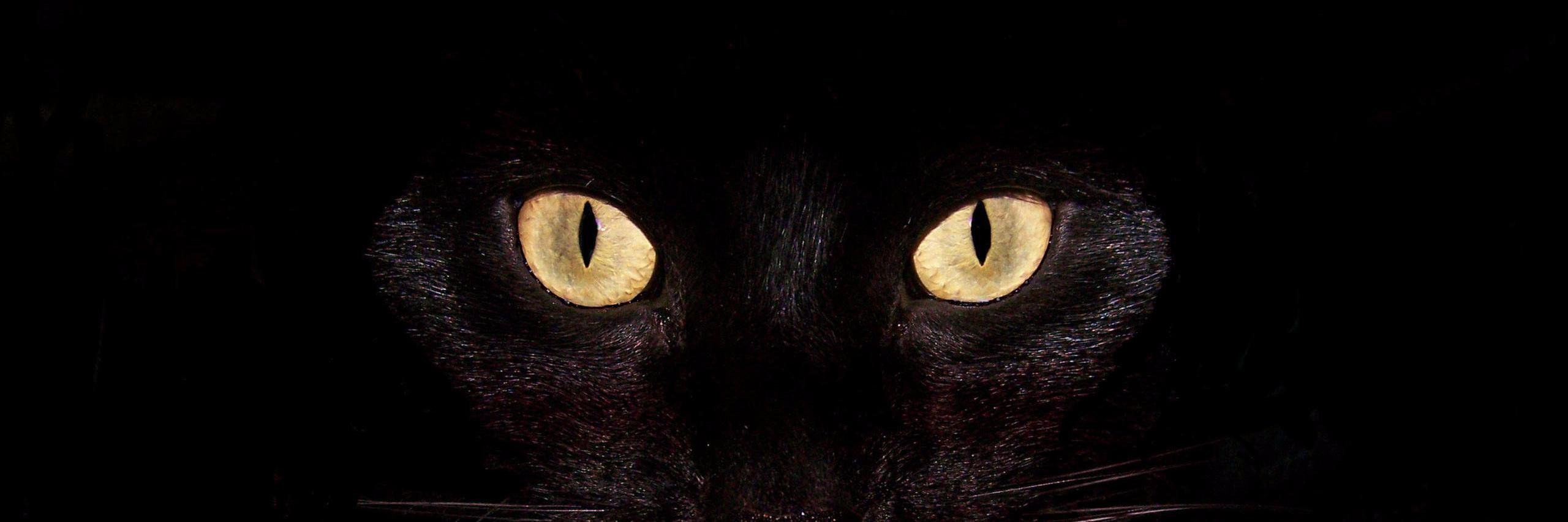 Jatinj044's profile banner image