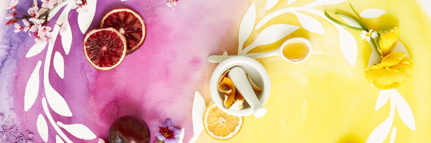 Anne Sempowski Ward banner