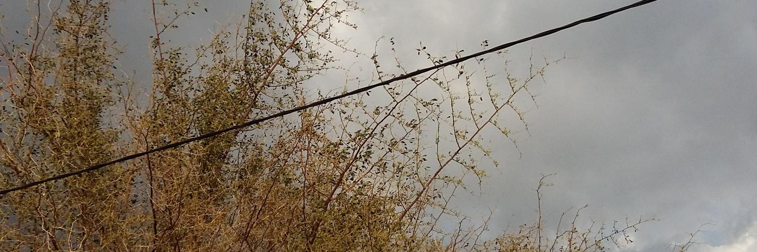 saadb67's profile banner image