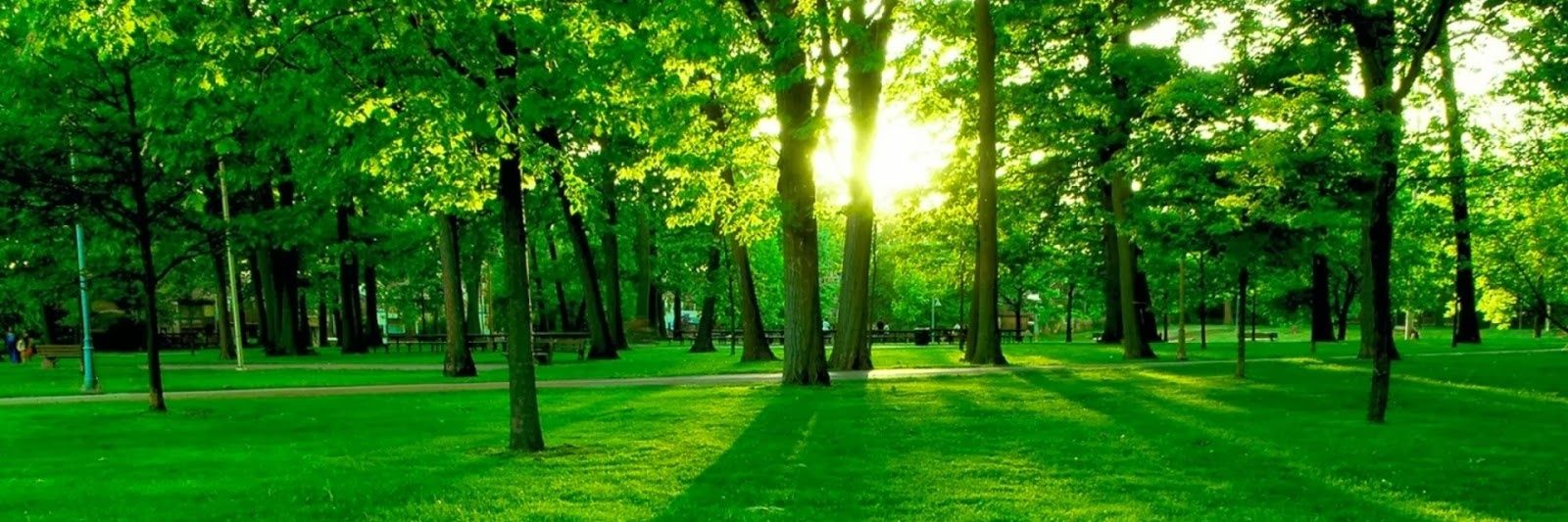 الف به توان ٣ banner