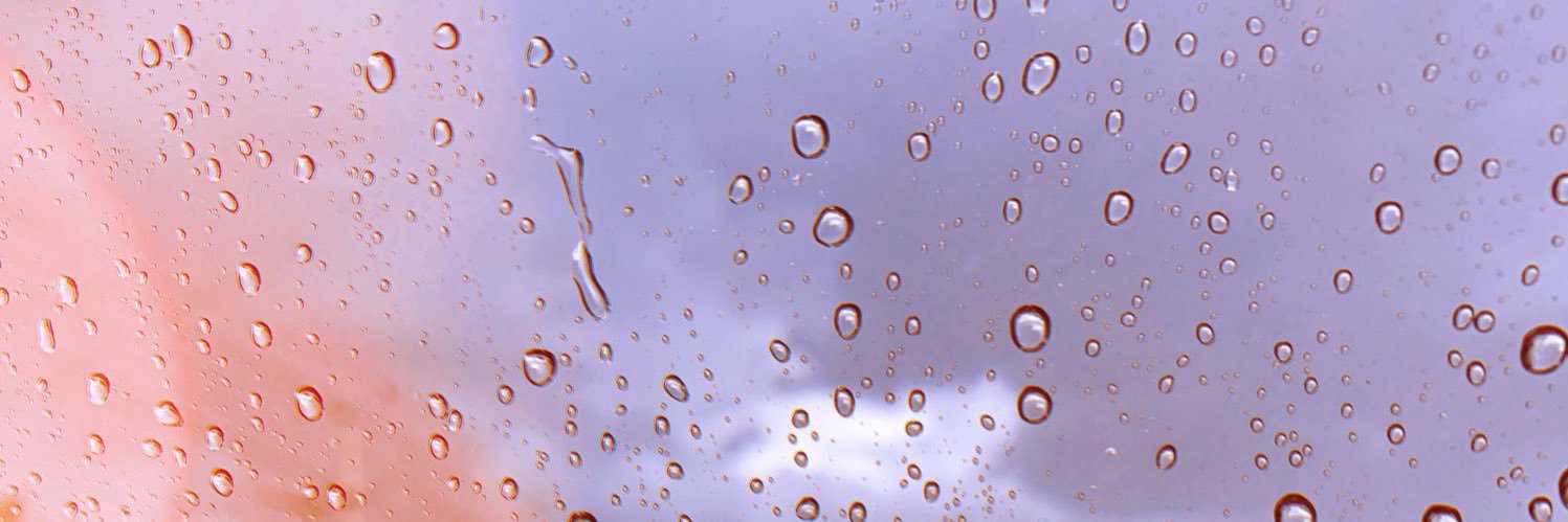 txrynx's profile banner image