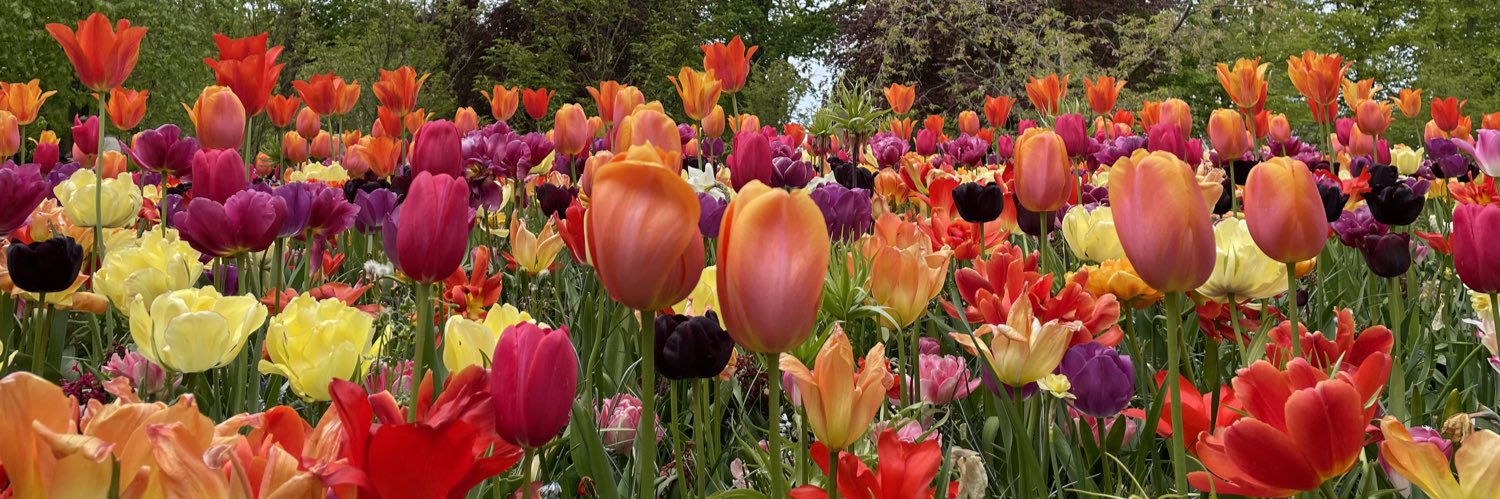 danielle muoio dunn banner