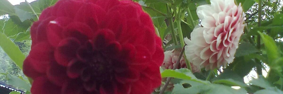 rajkhem280's profile banner image