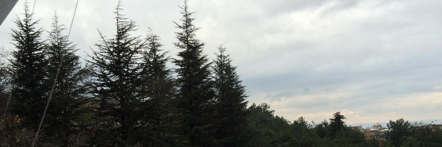 AlmutariMa's profile banner image