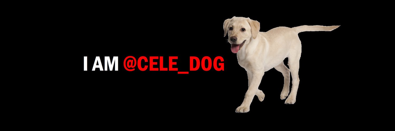 Cele_dog's profile banner image