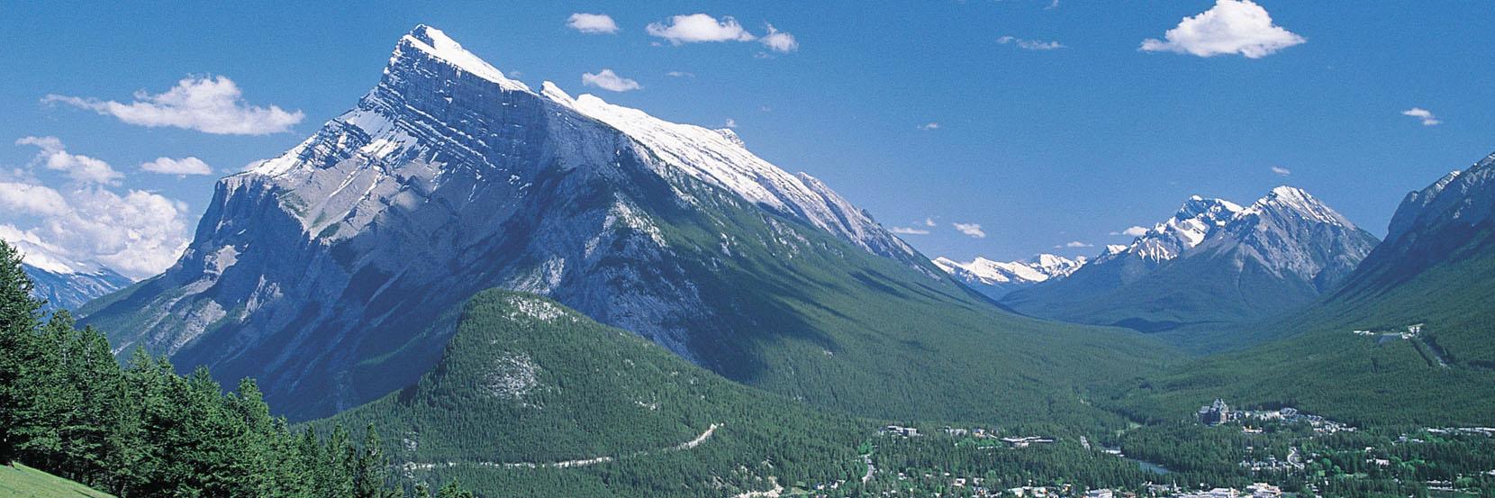 Center for Trauma Informed Practices banner