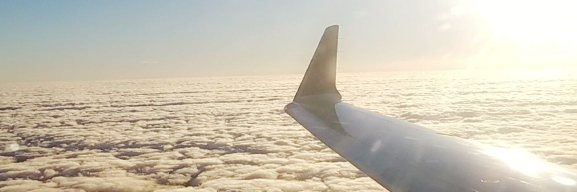 toribellamy12's profile banner image