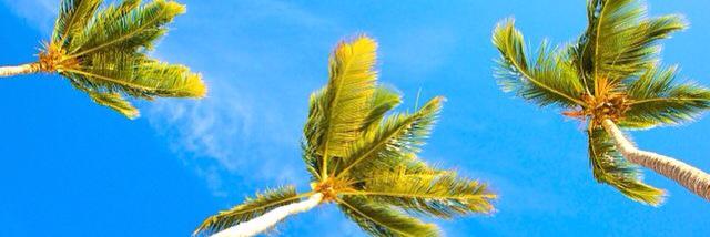 CaribbeanRd's profile banner image
