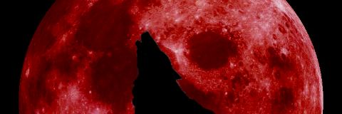 NightReignsAll's profile banner image