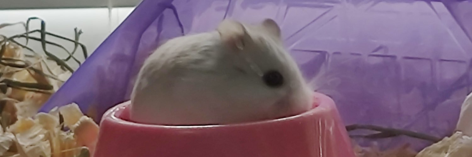 zanickuhh's profile banner image