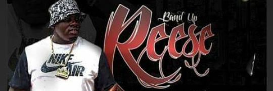 RealBigreese's profile banner image