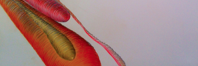 kellyBwith's profile banner image