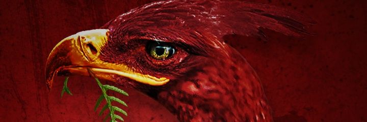 JorisMasquelet's profile banner image