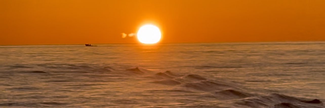 Pamelautss's profile banner image