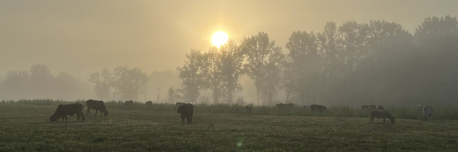 JDodd59's profile banner image